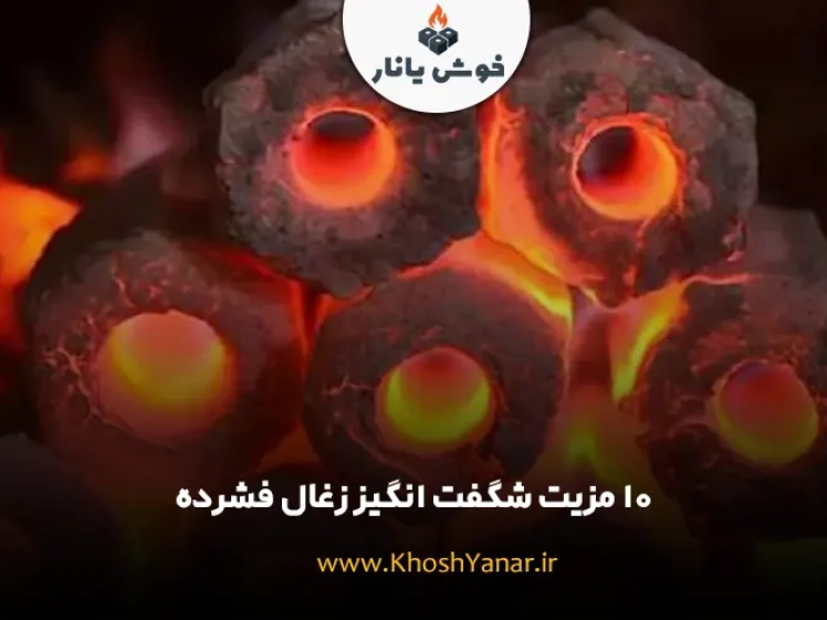 10 مزیت شگفت انگیز زغال فشرده
